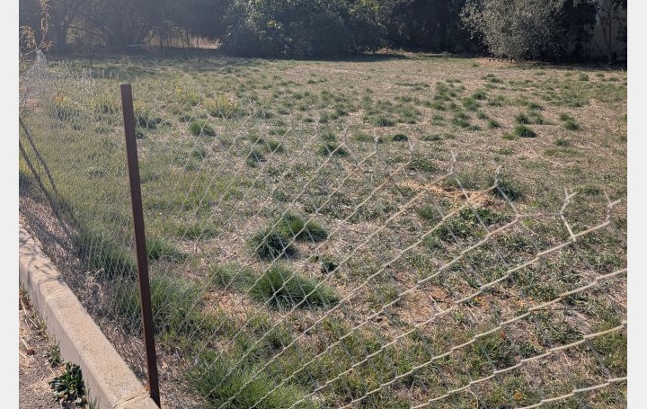 Terrain SALLELES-D'AUDE (11590)   215 000 € 