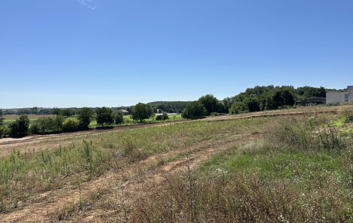 Terrain MONTIGNY-LES-METZ (57950)   99 938 € 