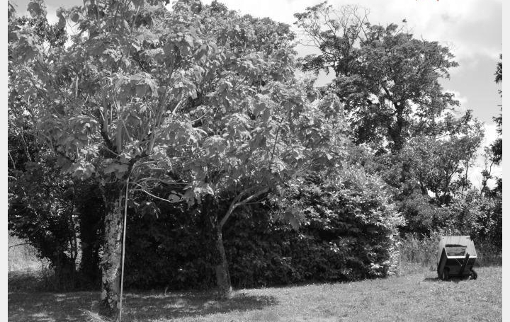 Réseau Immo-diffusion : Terrain  DOMPIERRE-SUR-MER   331 800 € 