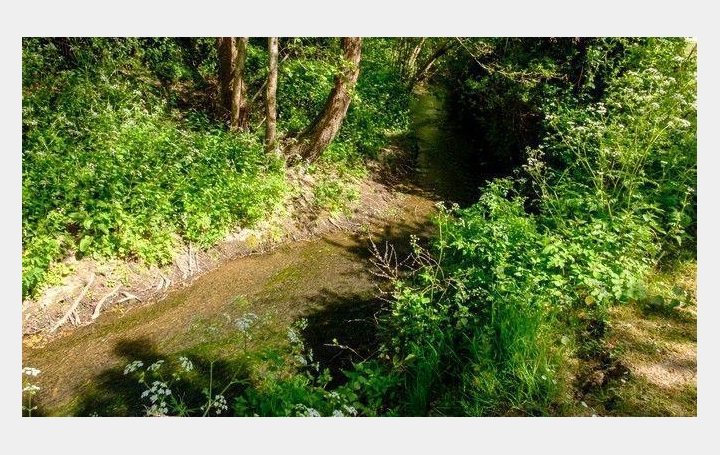 Réseau Immo-diffusion : Terrain  SAUTRON   33 910 € 