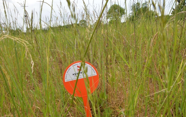 Réseau Immo-diffusion : Terrain  LE MUNG   27 713 € 