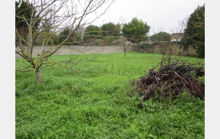 Réseau Immo-diffusion : Terrain  VERINES   82 500 € 