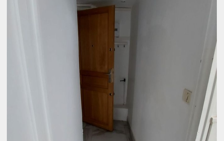 Studio LILLE (59800)  25 m2 559 € 