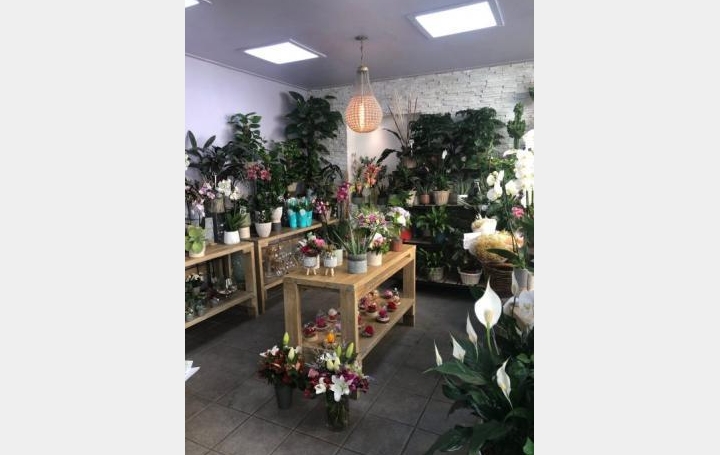 Réseau Immo-diffusion : Local commercial
  PARIS 15ème 46 m2 68 200 € 