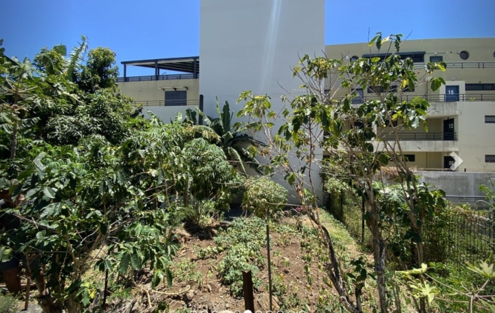 Terrain SAINTE-CLOTILDE (97490)   122 626 € 