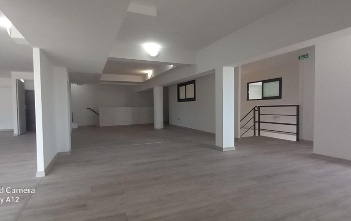Local d'activité LA POSSESSION (97419)  350 m2 420 000 € 