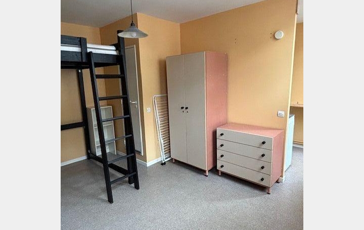 Studio TOURCOING (59200)  20 m2 520 € 