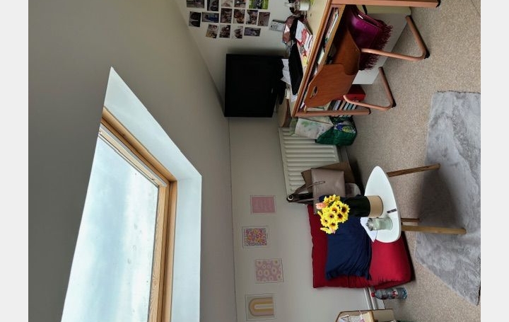 Studio TOURCOING (59200)  12 m2 450 € 