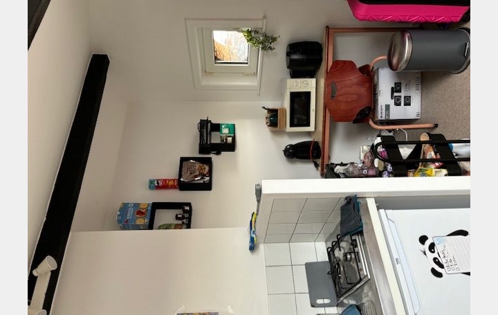 Studio TOURCOING (59200)  12 m2 450 € 