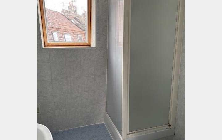 Studio TOURCOING (59200)  29 m2 550 € 