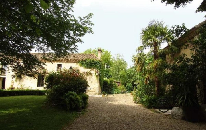 Réseau Immo-diffusion : Maison  BASSILLAC  428 m2 840 000 € 