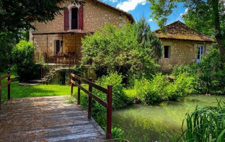 Réseau Immo-diffusion : Maison  MUSSIDAN  550 m2 728 000 € 