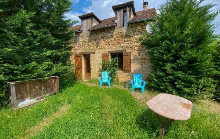 Réseau Immo-diffusion : Maison  SAINT-LEON-SUR-VEZERE  201 m2 295 000 € 