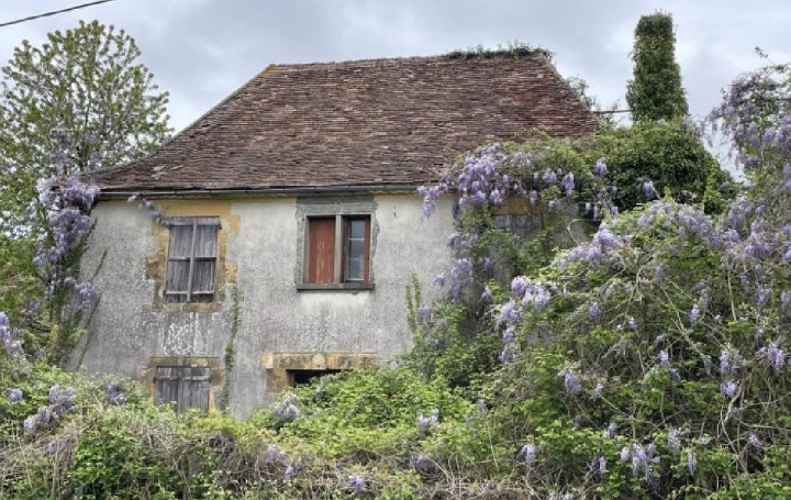 Réseau Immo-diffusion : Maison  ANGOISSE  110 m2 55 000 € 