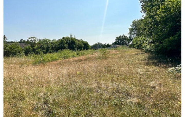 Réseau Immo-diffusion : Terrain  LA DOUZE  3 224 m2 45 000 € 