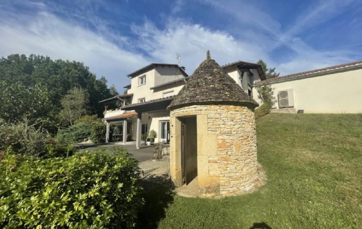 Réseau Immo-diffusion : Maison  SAVIGNAC-LES-EGLISES  260 m2 420 000 € 