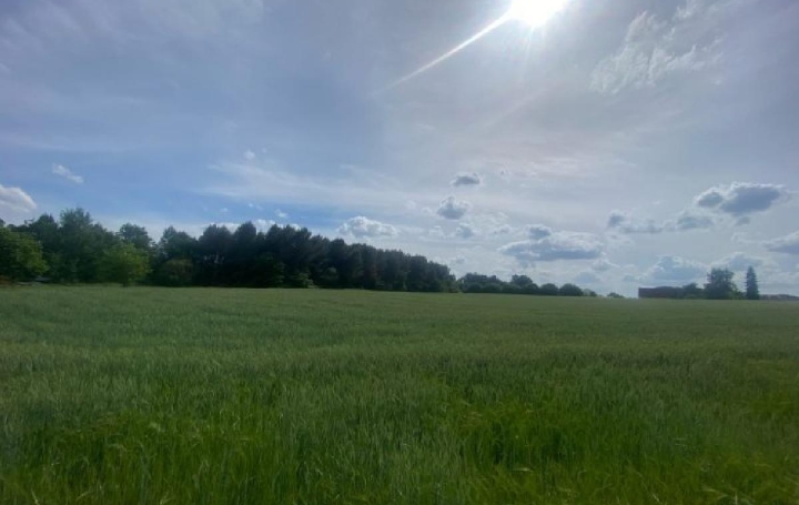 Réseau Immo-diffusion : Terrain  MONTREM  1 500 m2 34 500 € 