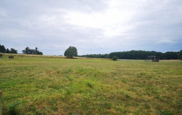 Réseau Immo-diffusion : Terrain  BREUILH  2 409 m2 40 700 € 