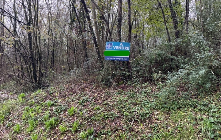 Réseau Immo-diffusion : Terrain  LE LARDIN-SAINT-LAZARE  4 675 m2 45 000 € 