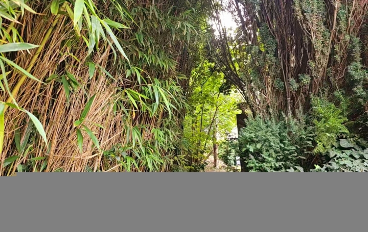 Maison VILLEJUIF (94800)  145 m2 627 000 € 