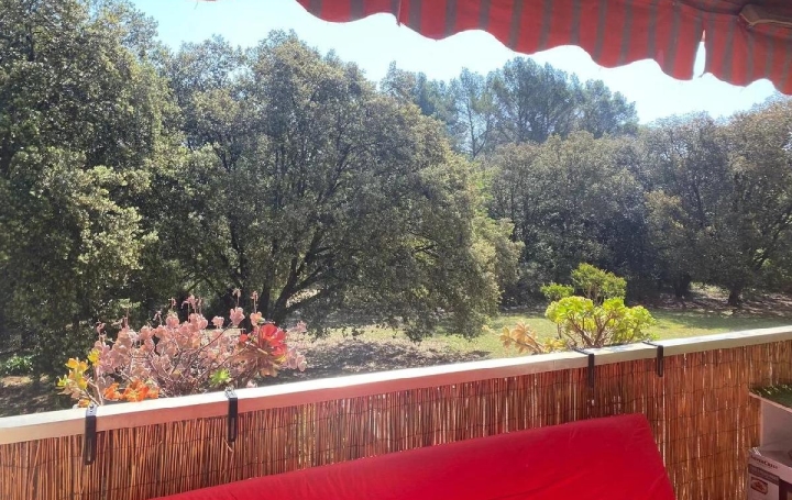 Réseau Immo-diffusion : Appartement P1  PEYMEINADE  23 m2 40 000 € 