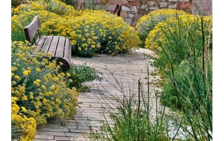 Réseau Immo-diffusion : Maison  DRAGUIGNAN  300 m2 1 300 000 € 