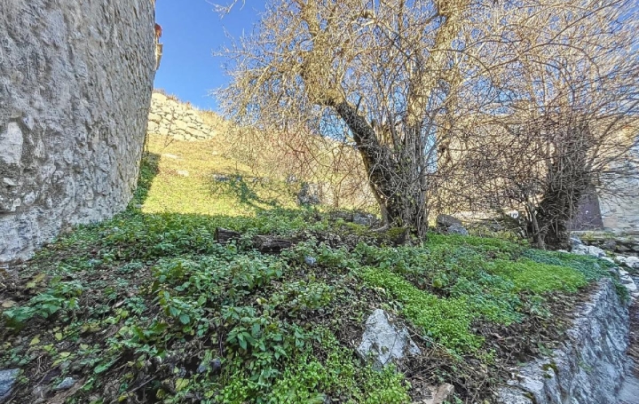 Réseau Immo-diffusion : Terrain  DEMANDOLX  62 m2 35 000 € 