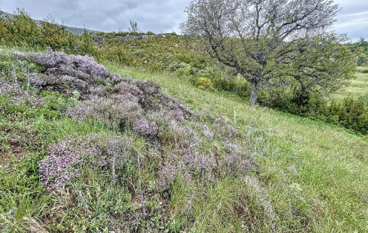 Réseau Immo-diffusion : Terrain  DEMANDOLX  1 580 m2 80 000 € 