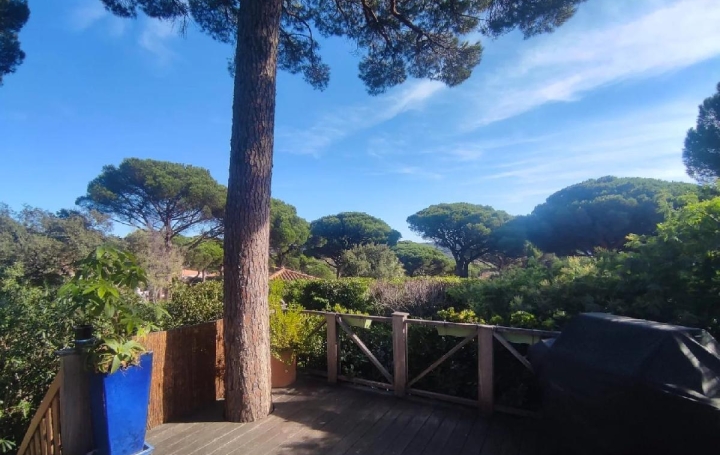 Maison GASSIN (83580)  62 m2 499 000 € 