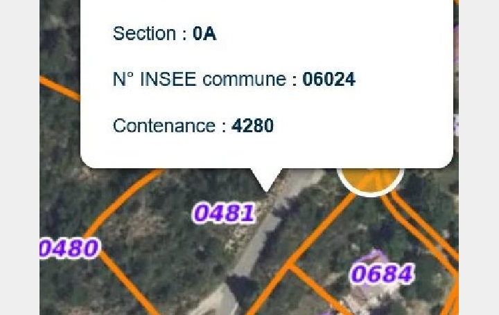 Réseau Immo-diffusion : Terrain  BRIANCONNET  4 280 m2 40 000 € 