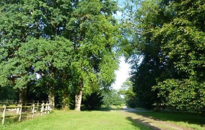 Maison VILLEMURLIN (45600)  240 m2 1 100 000 € 