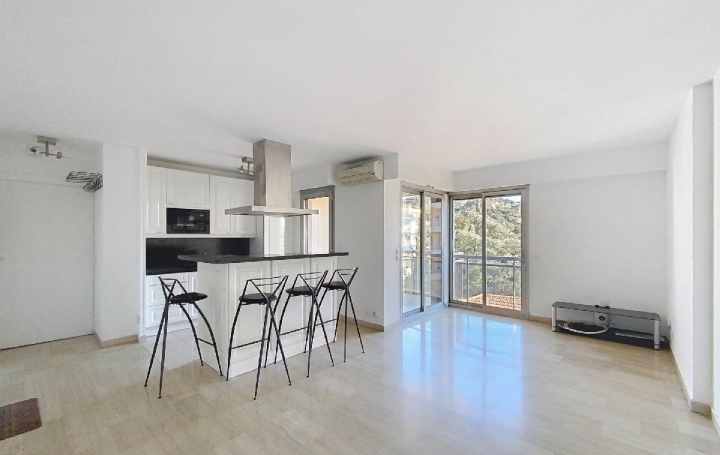 2 Pièces CANNES (06400)  46 m2 249 000 € 