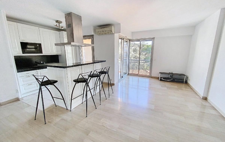 2 Pièces CANNES (06400)  46 m2 249 000 € 