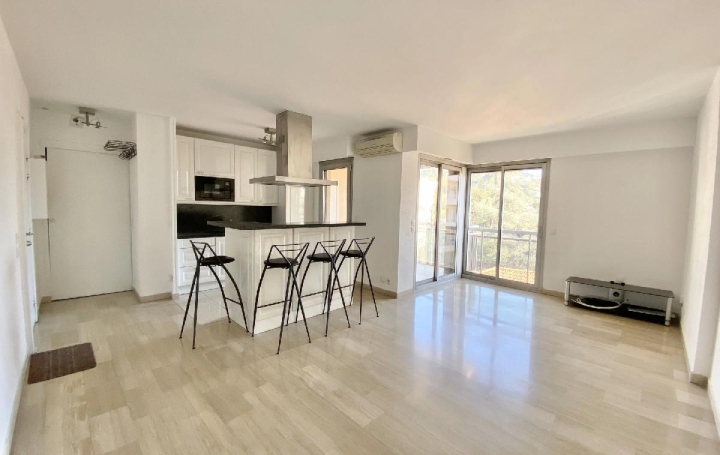 2 Pièces CANNES (06400)  46 m2 249 000 € 