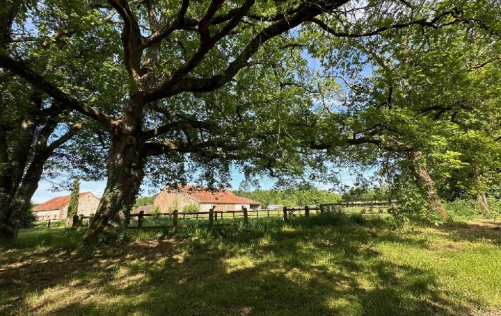 Maison / Villa VILLEMURLIN (45600) 240 m<sup>2</sup> 990 000 € 