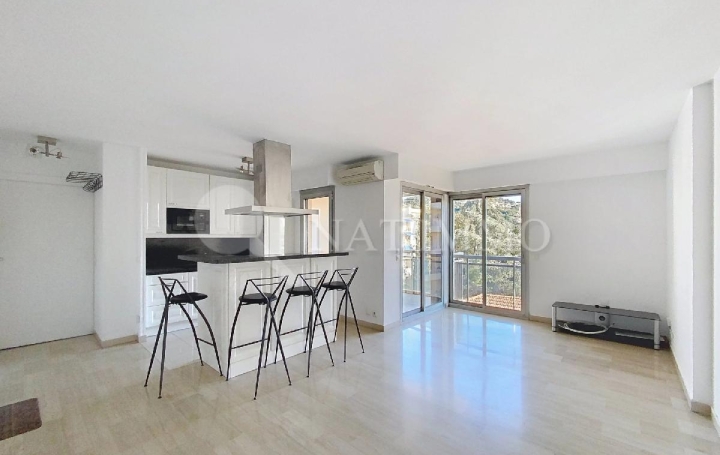 2 Pièces CANNES (06400)  46 m2 249 000 € 