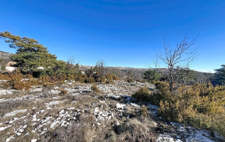 Terrain CAUSSOLS (06460) 3 223 m<sup>2</sup> 120 000 € 