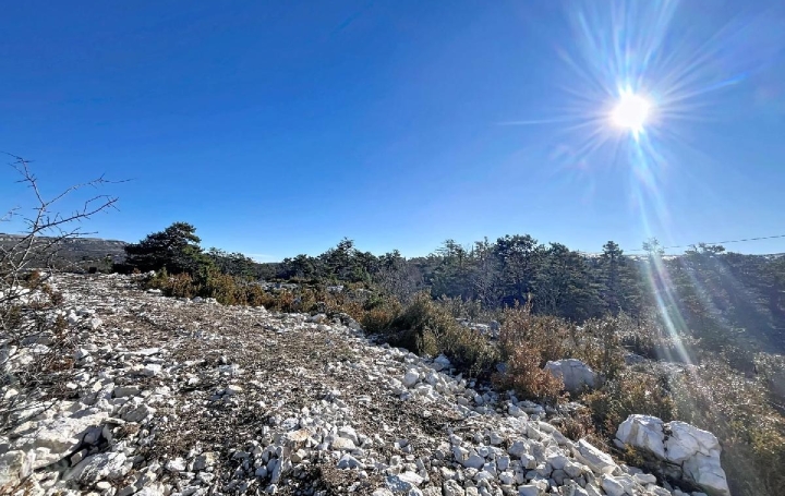 Terrain CAUSSOLS (06460)  3 223 m2 120 000 € 