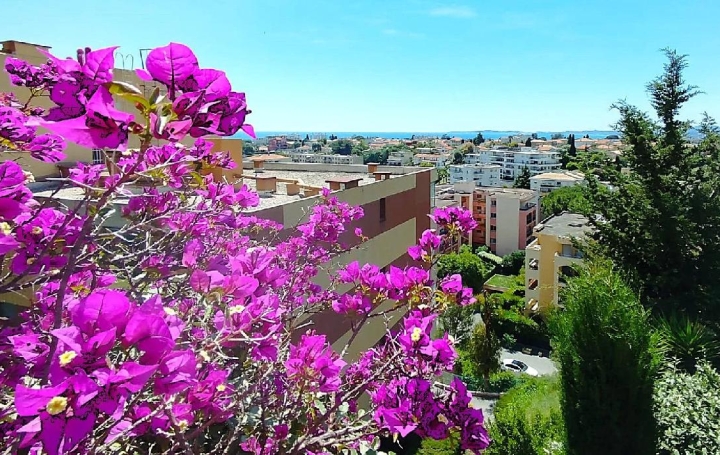 2 Pièces CAGNES-SUR-MER (06800)  48 m2 290 000 € 