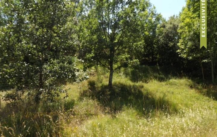 Réseau Immo-diffusion : Terrain  PRADES  3 525 m2 71 000 € 