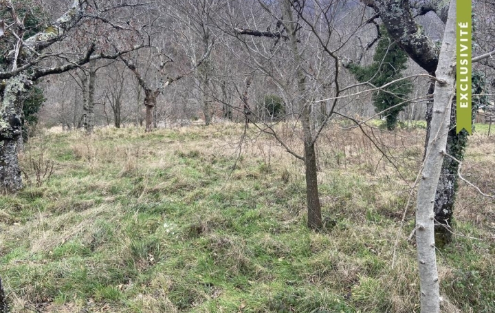 Réseau Immo-diffusion : Terrain  MAYRES  545 m2 25 000 € 