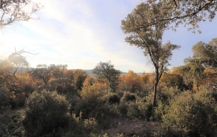 Réseau Immo-diffusion : Terrain  CASSAGNOLES  950 m2 99 500 € 
