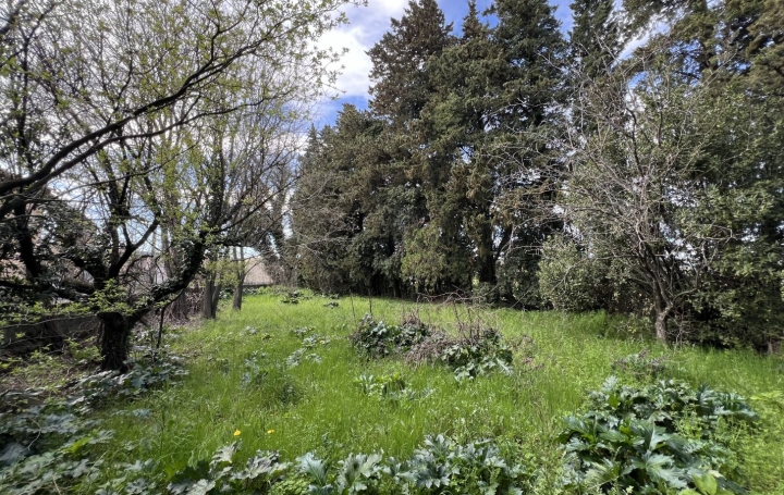 Terrain CONNAUX (30330) 0 m<sup>2</sup> 95 000 € 