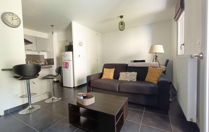 1 Pièce EPAGNY-METZ-TESSY (74330)  31 m2 750 € 