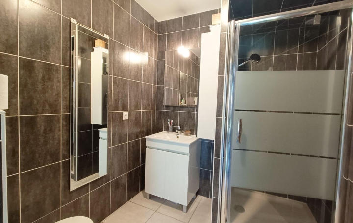 1 Pièce EPAGNY-METZ-TESSY (74330)  31 m2 750 € 