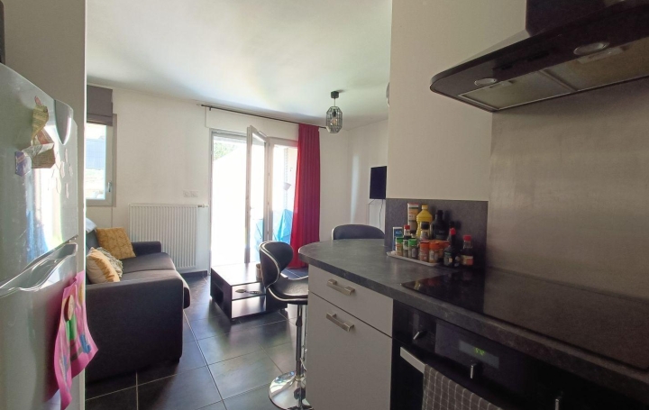 1 Pièce EPAGNY-METZ-TESSY (74330)  31 m2 750 € 