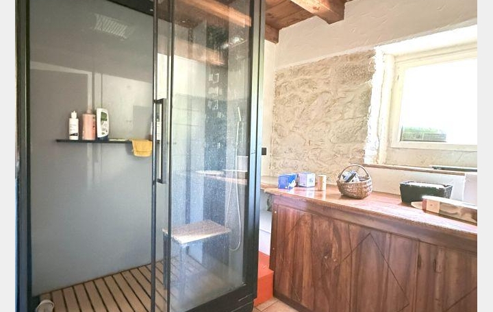 Maison EPAGNY-METZ-TESSY (74330)  110 m2 530 000 € 