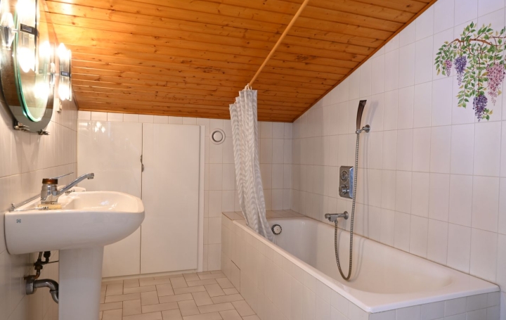 Maison EPAGNY-METZ-TESSY (74330)  206 m2 1 297 000 € 