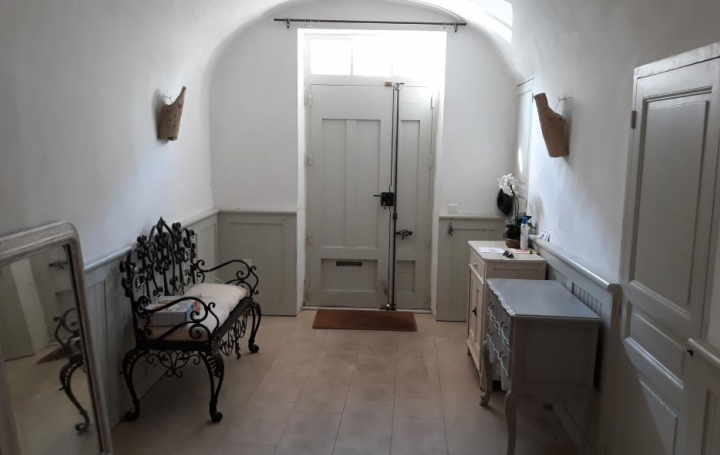 Réseau Immo-diffusion : Maison  NIZAS  300 m2 295 000 € 