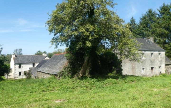 Réseau Immo-diffusion : Propriété  COMMANA  240 m2 334 400 € 